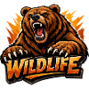 Wild Bear Wildlife Logo