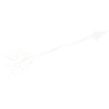 White arrow with feather