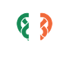 Irish Heart Celtic Knot Pride
