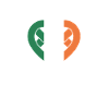 Heart in Ireland Pride Tee