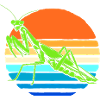 Worshipper Mantis Mantis