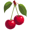 Cherries