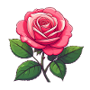 Pink Rose