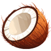 Coconut