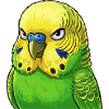 Vibrant Budgie Green Yellow