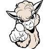 Cheeky alpaca pointing at the viewer