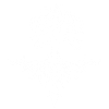 White Thorny Tree