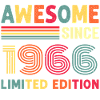1966 Year of birth