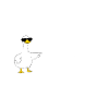 Hot Goose Summer