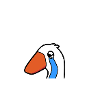 Sensitive Goose Club