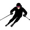 Dynamic skier