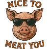 Nice to Meat You Pig Sunglasses
