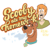 Scooby-Doo Shaggy Rogers & Scooby Siger Lektier