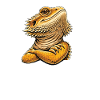 Bruh Pogona Bearded Dragon Funny Meme
