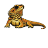 Bruh Bearded Dragon Funny Beardie