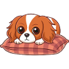 Adorable Puppy on Plaid Cushion