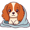 Soft puppy under plaid