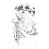 Wolf, Moon, Nature, Wilderness, Animal
