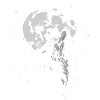 Wolf, Moon, Nature, Wilderness, Animal