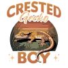 Funny Reptile Crested Gecko