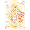 Lucha Libre Luchador Tarot Card