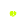 Cavalier King Charles Spaniel Ball Dogs Wilsigns
