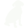 Silhouette del cane seduto