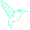 Hummingbird Bird