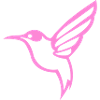 Kolibri Vogel