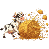 Cow and hay explosion