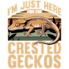 Funny Reptile Crested Gecko