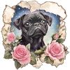 Schwarzer Mops