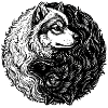 Eurasier | Yin Yang | Background White