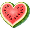 Illustrazione succosa di anguria a forma di cuore