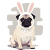 Pug Bunny