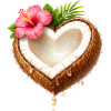 Coconut in Heart Shape Illustration