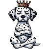 Dalmatians Dalmatian Keepers Dalmatian Owners