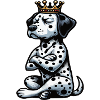 Dalmatians Dalmatian Keepers Dalmatian Owners