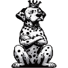 Dalmatians Dalmatian Keepers Dalmatian Owners