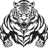 Tiger Workout Gym