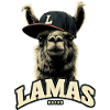 Jupes Lamas