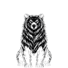 Wild Bear - Bear on