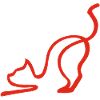 Red Cat Sketch