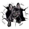 French Bulldog Puppy Breaks Through