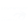 AVENTURE DE SNOWBOARD