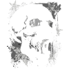 Grunge Skull Paint Splash