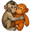 Cuddle buddy monkey and orang