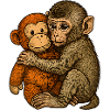 Monkey Hug Friendship