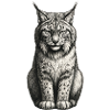 Crayon Silhouette Lynx