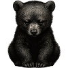 Dark bear cub sitting